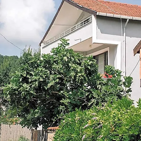 Marina House